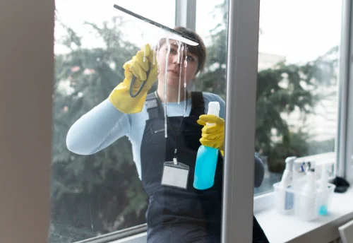 Nettoyage de vitres intérieures et extérieures à Laizy